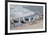 What's Up Gulls-Danny Head-Framed Photographic Print