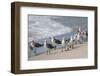 What's Up Gulls-Danny Head-Framed Photographic Print