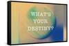 What'S Your Destiny-null-Framed Stretched Canvas