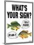 What's Your Sign-Mark Frost-Mounted Giclee Print