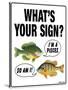 What's Your Sign-Mark Frost-Stretched Canvas