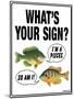 What's Your Sign-Mark Frost-Mounted Giclee Print