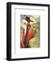 What Shall I Take for This?-Charles Crombie-Framed Premium Giclee Print