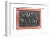 What to Study-Yury Zap-Framed Photographic Print