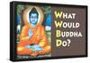 What Would Buddha Do Funny Poster Print-null-Framed Poster