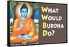 What Would Buddha Do Funny Poster-Ephemera-Framed Stretched Canvas