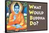 What Would Buddha Do Funny Poster-Ephemera-Framed Poster