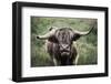 What-Nathan Larson-Framed Photographic Print