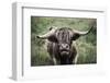 What-Nathan Larson-Framed Photographic Print