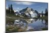 Whatcom Peak reflected in Tapto Lake, North Cascades National Park-Alan Majchrowicz-Mounted Photographic Print