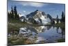 Whatcom Peak reflected in Tapto Lake, North Cascades National Park-Alan Majchrowicz-Mounted Photographic Print