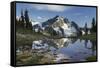 Whatcom Peak reflected in Tapto Lake, North Cascades National Park-Alan Majchrowicz-Framed Stretched Canvas