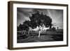 Whatever For-Geoffrey Ansel Agrons-Framed Giclee Print