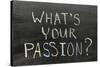 Whats Your Passion-Yury Zap-Stretched Canvas