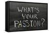 Whats Your Passion-Yury Zap-Framed Stretched Canvas