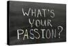 Whats Your Passion-Yury Zap-Stretched Canvas