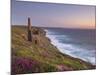 Wheal Coates, Abandoned Disused Cornish Tin Mine at Sunset, North Cornwall, England, United Kingdom-Neale Clark-Mounted Photographic Print