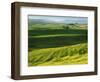 Wheat and Canola, Spokane County, Washington, USA-Charles Gurche-Framed Photographic Print