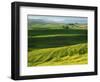 Wheat and Canola, Spokane County, Washington, USA-Charles Gurche-Framed Photographic Print