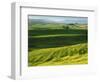 Wheat and Canola, Spokane County, Washington, USA-Charles Gurche-Framed Photographic Print