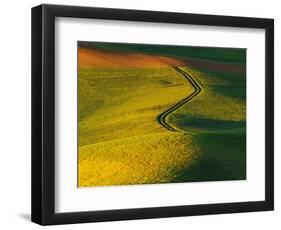 Wheat and Pea Fields-Darrell Gulin-Framed Photographic Print