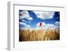 Wheat and Poppy Flower-Alexandru Nika-Framed Photographic Print