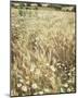 Wheat and Wild Chamomile-Dawne Polis-Mounted Art Print