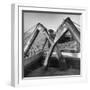 Wheat Being Collected by Combines into Truck for Transporting to Storage-Joe Scherschel-Framed Photographic Print