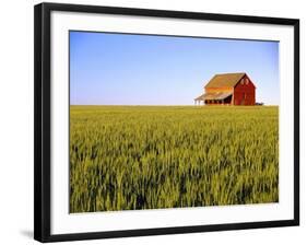 Wheat Crop Growing in Field Before Barn-Terry Eggers-Framed Photographic Print