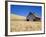 Wheat Crop Growing in Field By Barn-Terry Eggers-Framed Photographic Print