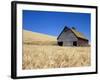 Wheat Crop Growing in Field By Barn-Terry Eggers-Framed Photographic Print