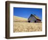 Wheat Crop Growing in Field By Barn-Terry Eggers-Framed Photographic Print