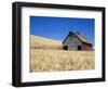 Wheat Crop Growing in Field By Barn-Terry Eggers-Framed Photographic Print