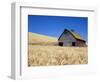 Wheat Crop Growing in Field By Barn-Terry Eggers-Framed Photographic Print