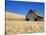Wheat Crop Growing in Field By Barn-Terry Eggers-Stretched Canvas