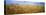 Wheat Crop Growing in Palouse Country, Washington, USA-null-Stretched Canvas