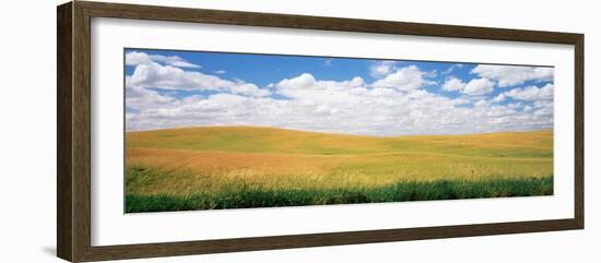 Wheat Crop in a Field, Palouse, Whitman County, Washington State, USA-null-Framed Photographic Print