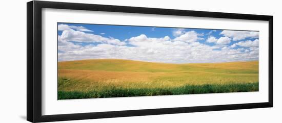 Wheat Crop in a Field, Palouse, Whitman County, Washington State, USA-null-Framed Photographic Print