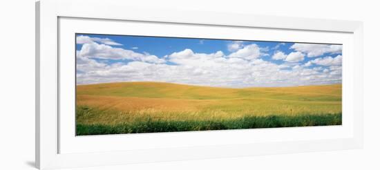 Wheat Crop in a Field, Palouse, Whitman County, Washington State, USA-null-Framed Photographic Print