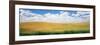 Wheat Crop in a Field, Palouse, Whitman County, Washington State, USA-null-Framed Photographic Print