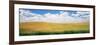 Wheat Crop in a Field, Palouse, Whitman County, Washington State, USA-null-Framed Photographic Print