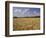 Wheat Crop, Tennessee, USA-Adam Jones-Framed Photographic Print