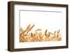 Wheat Ears Isolated on White.-Sofiaworld-Framed Photographic Print