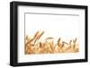 Wheat Ears Isolated on White.-Sofiaworld-Framed Photographic Print