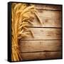 Wheat Ears on the Wooden Table, Sheaf of Wheat over Wood Background-Subbotina Anna-Framed Stretched Canvas