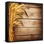 Wheat Ears on the Wooden Table, Sheaf of Wheat over Wood Background-Subbotina Anna-Framed Stretched Canvas