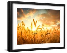 Wheat Field Against Golden Sunset, Shallow Dof-Li Ding-Framed Premium Photographic Print