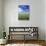 Wheat Field and Blue Sky with White Clouds in England, United Kingdom, Europe-Nigel Francis-Stretched Canvas displayed on a wall