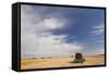Wheat Field and Combine, North Platte, Nebraska, USA-Walter Bibikow-Framed Stretched Canvas