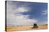 Wheat Field and Combine, North Platte, Nebraska, USA-Walter Bibikow-Stretched Canvas